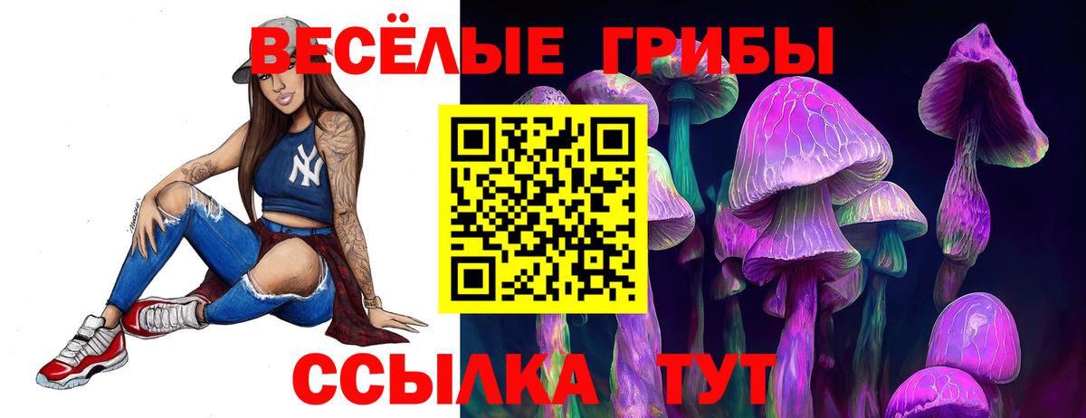Псилоцибиновые грибы прущие грибы Киров
